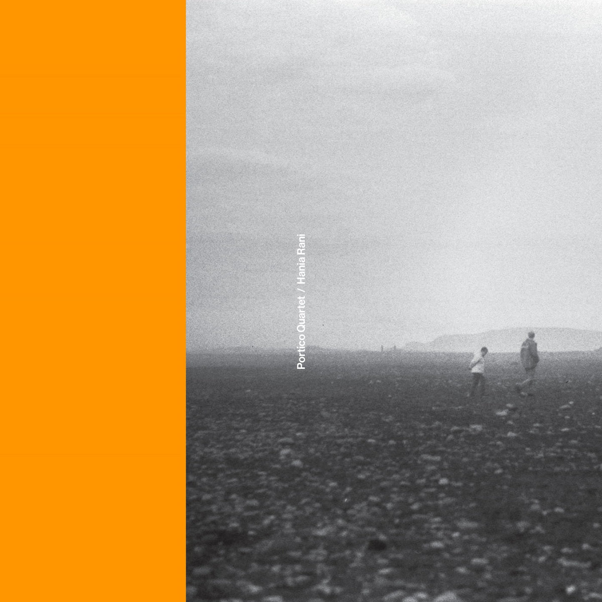 Portico Quartet, Hania Rani - Portico Quartet / Hania Rani
