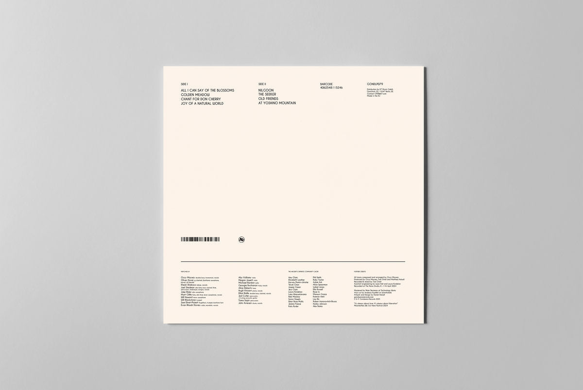 Ancient Infinity Orchestra - It's Always About Love