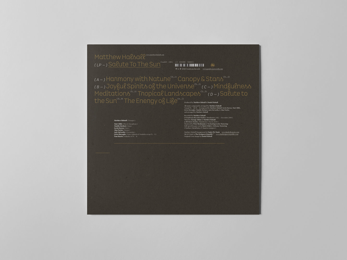 Matthew Halsall  - Salute to the Sun