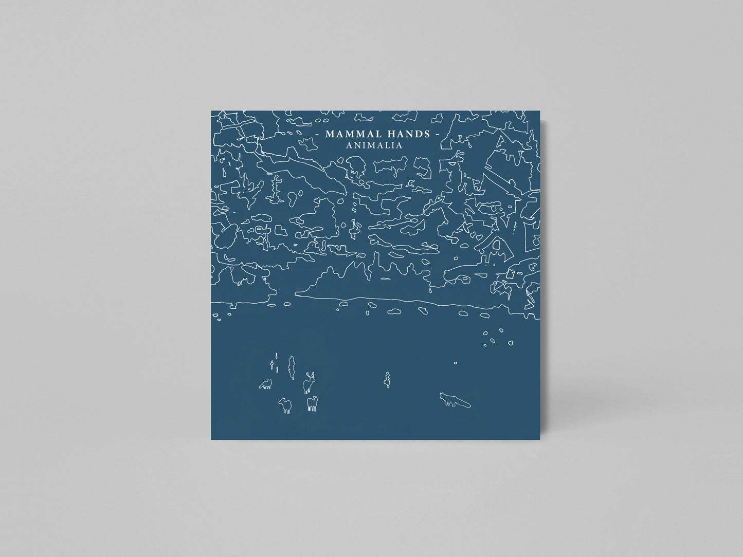 Mammal Hands - Animalia