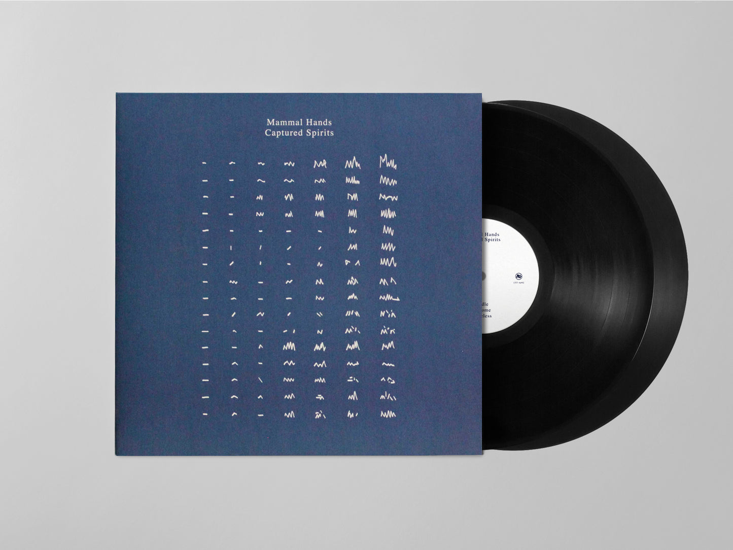 Mammal Hands - Captured Spirits