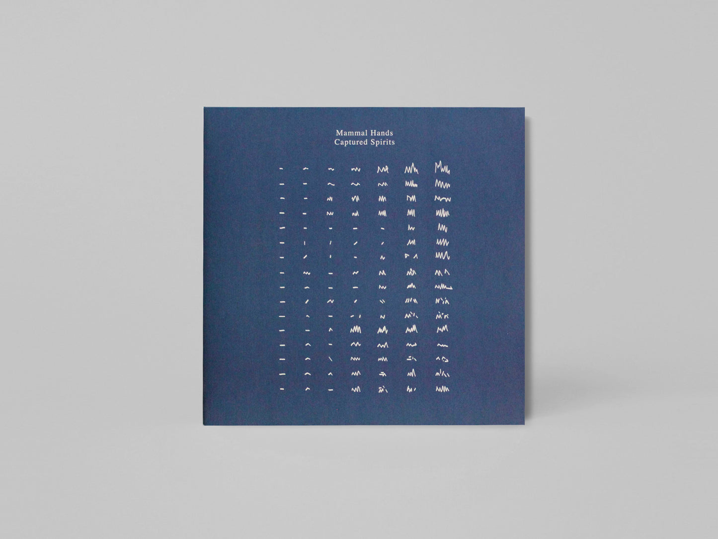 Mammal Hands - Captured Spirits
